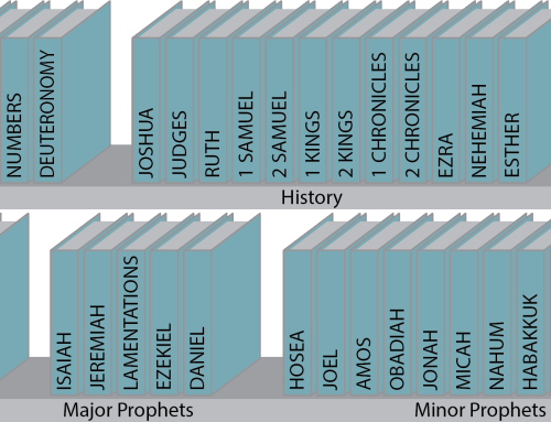 How is the Bible Organized?